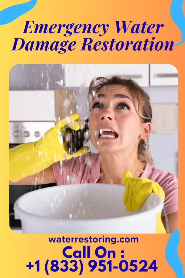 Emergency Water Damage Restoration in Centralia, IL
