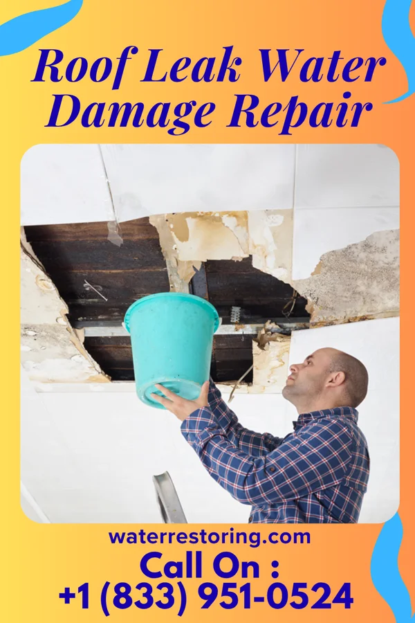 Roof Leak Water Damage Repair in Centralia, IL